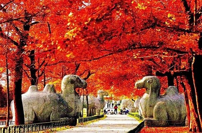 Nanjing Professional English Tour Guide Service - Value check: what $90.67 per person really buys