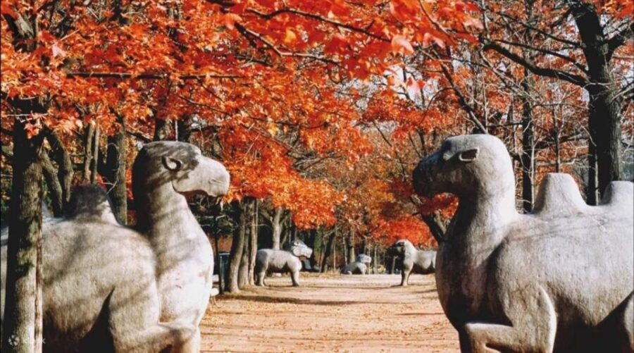 Nanjing:Must-See Attractions in One Day+Customized Itinerary - What the day feels like on the ground