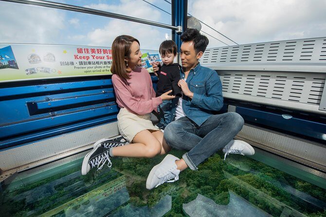 Ngong Ping 360 Skip-the-Line Private Crystal Cabin Ticket - Who should book this private cabin ticket (and who might skip it)