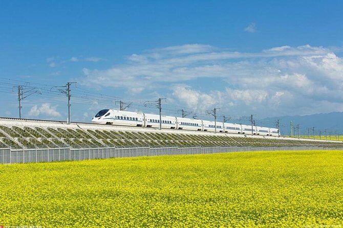 One Day Chengdu Xian Tour by Bullet Train - Chengdu Morning Pickup and Bullet Train Rhythm