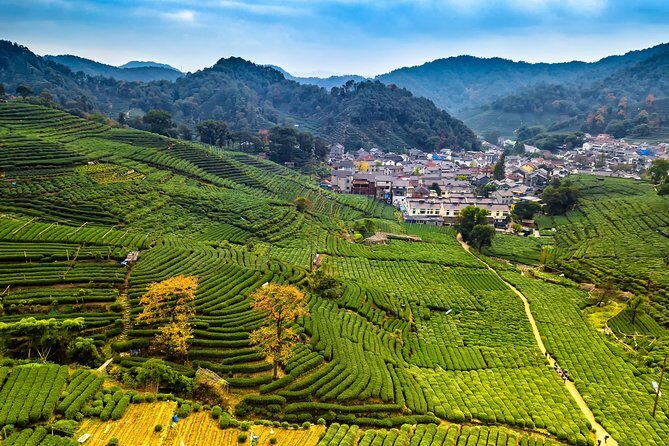 One-Day Hangzhou Dragon Well Tea Culture & West Lake Private Tour - Why this private Hangzhou day centers on tea and water