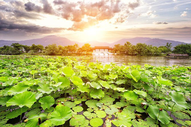 One-Day Hangzhou Dragon Well Tea Culture & West Lake Private Tour - Meijiawu Tea Village: where Dragon Well starts