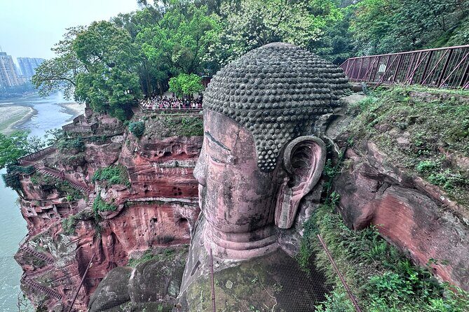 Panda, Leshan, and Emei Mountain 2-day tour - A Private Two-Day Chengdu Sweep That Actually Feels Doable