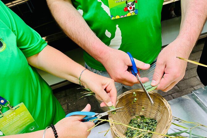 Panda Volunteer expperience in Dujiangyan or Wolong Panda Base - Lunch and break: fuel for an active day