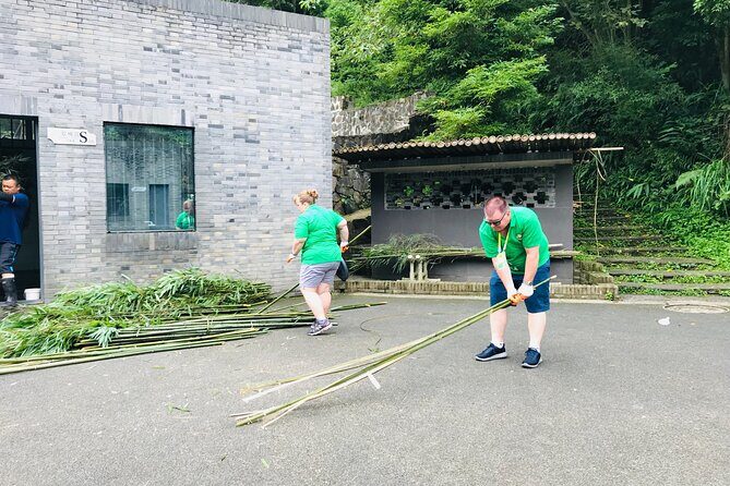Panda Volunteer expperience in Dujiangyan or Wolong Panda Base - Panda documentary: turning the morning into real understanding