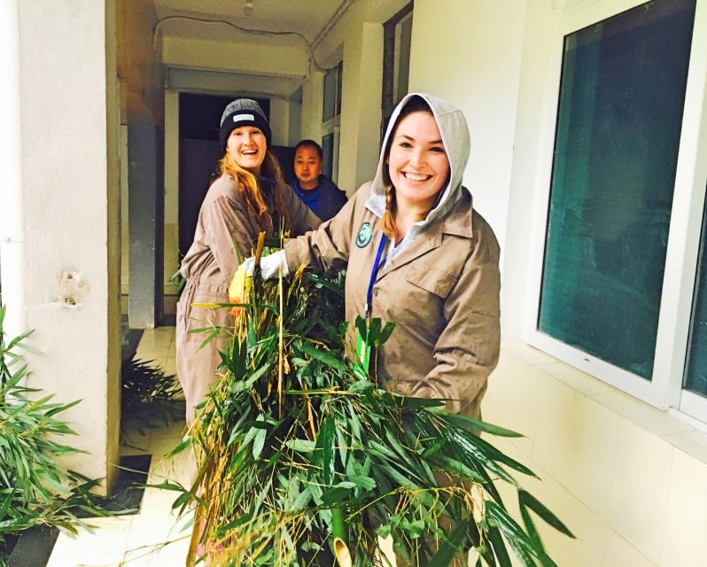 Panda Volunteer Project Day Trip(Wolong/Du Jiang Yan) - Key points that make this panda volunteer day special