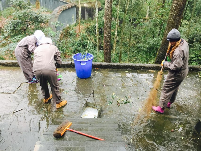 Panda Volunteer Project Day Trip(Wolong/Du Jiang Yan) - Lunch at the panda base: included and worth using