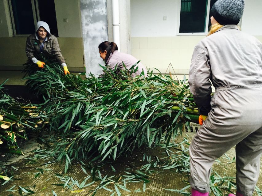 Panda Volunteer Project Day Trip(Wolong/Du Jiang Yan) - Movie time and panda cakes: the learning block you actually do