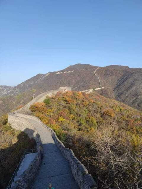 Private Beijing Layover Tour: Great Wall and Forbidden City - The private comfort factor: a driver who keeps the day smooth