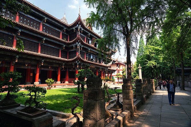 Private Chengdu Highlights Day Trip: Panda Base and City from Chongqing by Train - Price and Value: What $234.36 Buys You Here