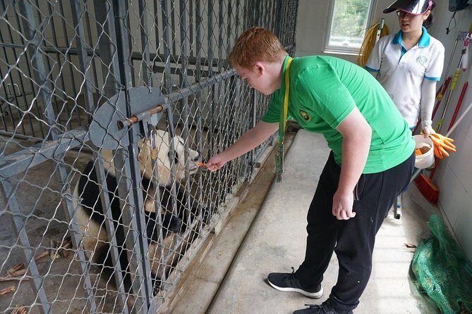 Private Day Tour: Dujiangyan Panda Base Volunteering from Chengdu - Morning Volunteer Shift: Bamboo Prep and Enclosure Cleaning