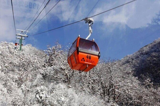 Private Day Tour to Beijing Mutianyu Great Wall - Your Wall Options: Hike Up, Or Hike Down to Tower 6 and Toboggan