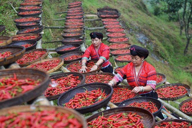 Private Day Tour to Longji Rice Terraces and Long Hair Village from Guilin - Stop-by-stop: how your day typically flows from Guilin to Longji to Huangluo