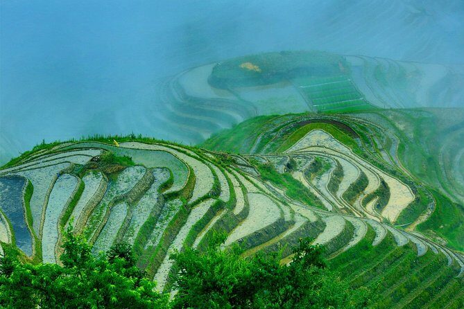 Private Day Tour to Longji Rice Terraces and Long Hair Village from Guilin - Who this private Longji and Long Hair Village tour suits best