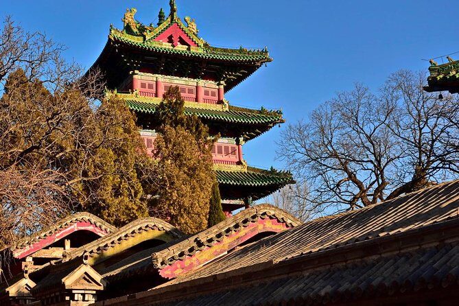 Private Day Tour to Shaolin Temple and Longmen Grottoes from Zhengzhou - Price and Value: Why $317.87 Can Make Sense Here