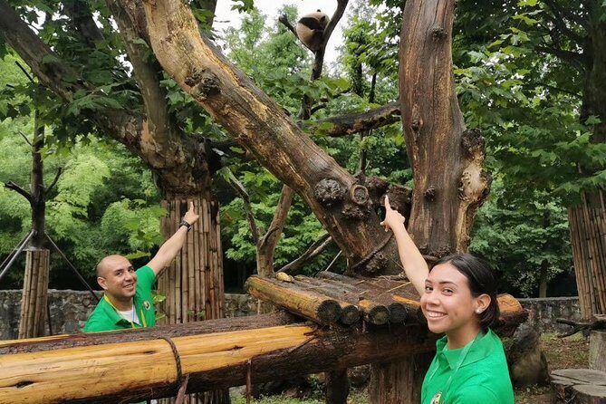 Private Dujiangyan Panda Base Panda Rescue Center Volunteer for a Day - Why This Volunteer Day Feels More Real Than a Standard Panda Visit