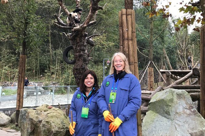 Private Dujiangyan Panda Base Panda Rescue Center Volunteer for a Day - Getting There From Chengdu: The 7am Start That Actually Matters