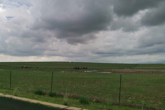 Private Full-Day Tour to Huitengxile Grassland from Hohhot - Huitengxile Grassland: Where the Steppe Feels Wide and Real