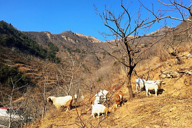 Private Great Wall Hiking Tour: Across The Border of 3 China Provinces - Finding the highest point: San Jie Bei and how to avoid the crowds