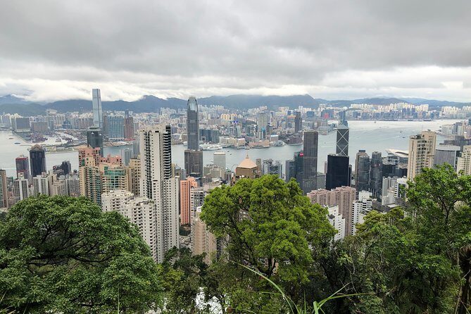Private Introduction to Hong Kong Walking Tour - Getting your bearings: how this private route feels in real life