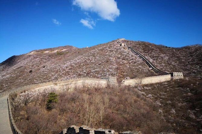 Private Layover Tour to Mutianyu Great Wall and Forbidden City - The reality check: fitting it all into 9 to 10 hours