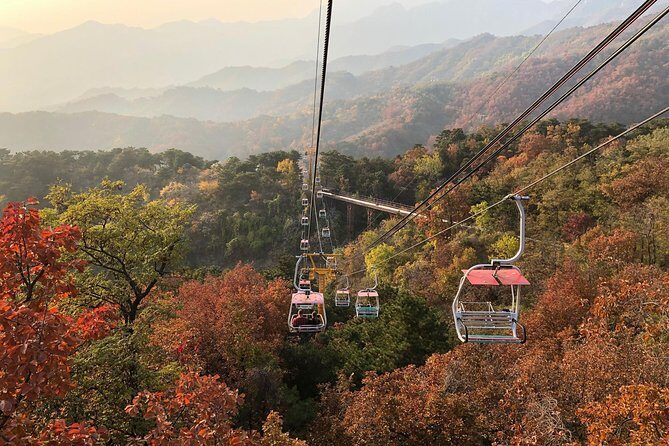 Private Layover Tour to Mutianyu Great Wall from Beijing Airport - What you do after the wall: lunch option and a tea ceremony