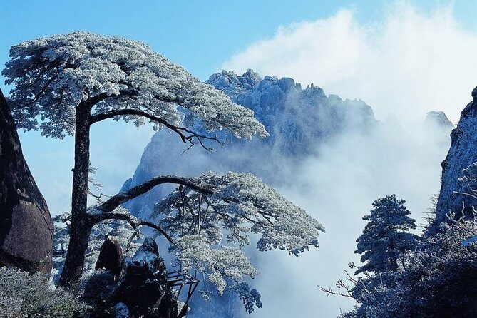 Private Photography Day Tour of Huangshan Yellow Mountain - Cable car included: start strong, climb smarter