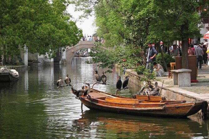 Private Round Trip Transfer to Suzhou & Zhouzhuang from Shanghai - Key things to know before you go