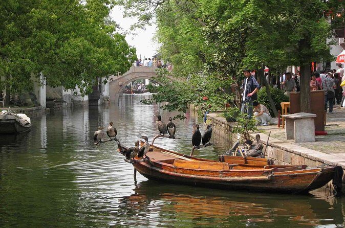 Private Round Trip Transfer to Suzhou & Zhouzhuang from Shanghai - Private Driver Logistics: Comfort, Language, and Real Communication