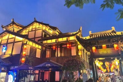 Private Shenzhen Day Tour from Hong Kong - Shenzhen Museum and Gangxia North Station A口: a modern start with context