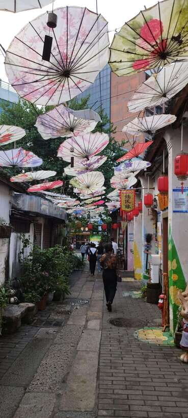 Private Shenzhen Day Tour from Hong Kong - Visa-on-arrival in Shenzhen: what to bring and what to expect