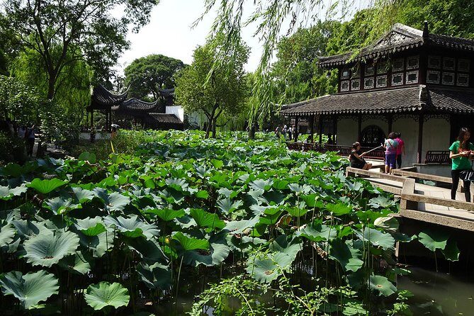 Private Suzhou Day Tour from Shanghai to Classical Gardens and Tongli Water Town - Guides make the difference: Ryan, Chloe, Johnny, Martin, and Marry