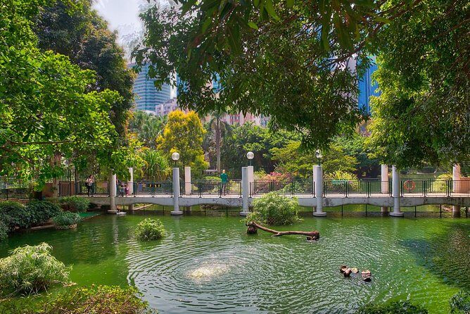 Private Tour: Customized 6-Hour Hong Kong City Tour - Stop 5: Cat Street Market for Antique Finds and Street-Level Hong Kong