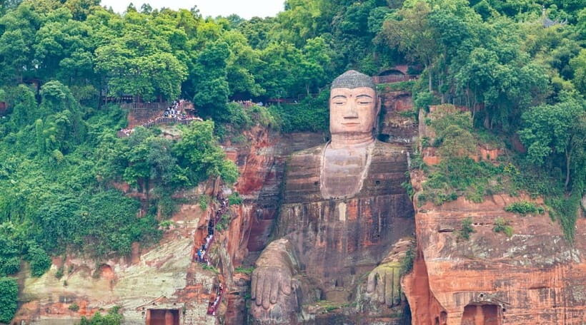 Private Tour: Discovering Pandas & the Majestic Giant Buddha - The panda guide factor: why the stories matter