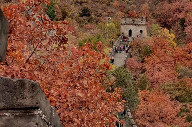 Private Tour: Forbidden City and Mutianyu Great Wall with Cable Car or Toboggan - A Smooth, Queue-Free Day in Beijing