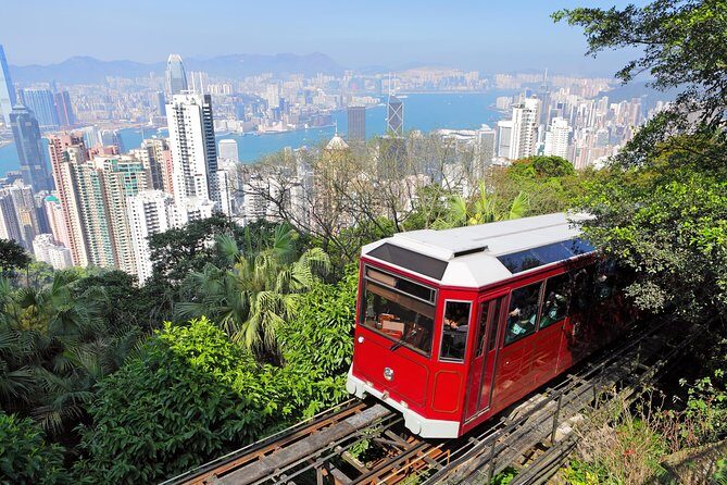 Private Tour: Half-Day Highlights Tour of Hong Kong Island - 9am pickup from Kowloon City: how to make the morning painless