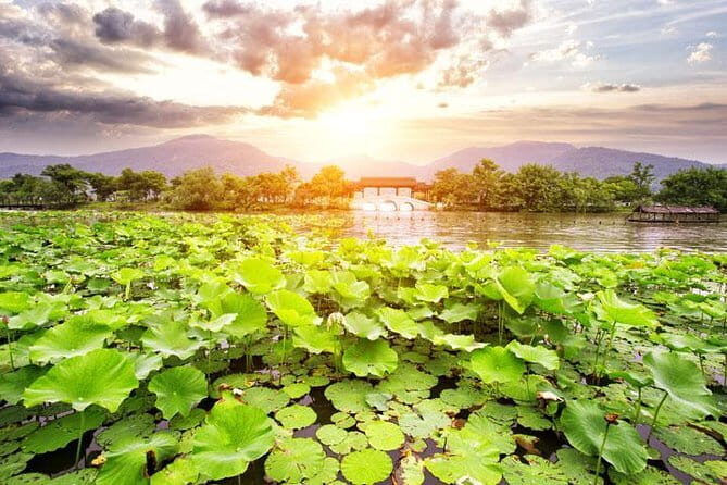 Private Tour Hangzhou West Lake and Tea Fields Discovery - Key highlights at a glance