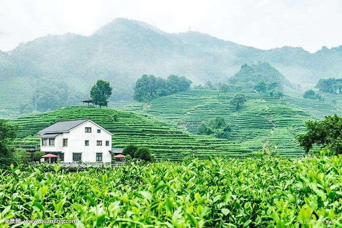 Private Tour Hangzhou West Lake and Tea Fields Discovery - Private vehicle value: what your money actually buys