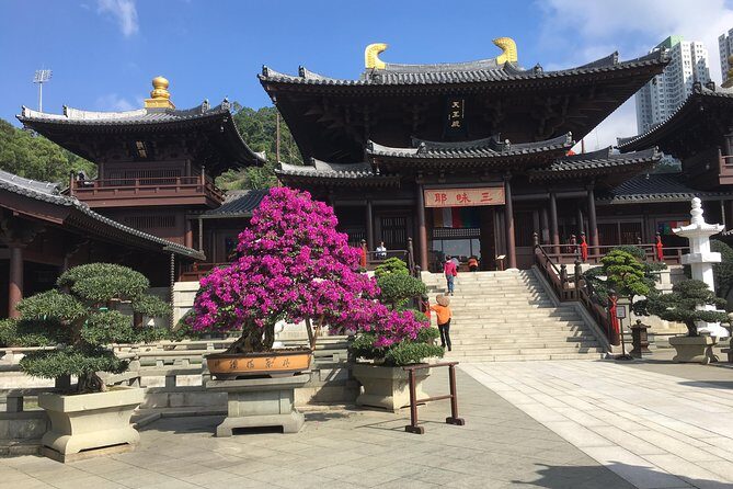 Private tour - Hong Kong's major sites and history - Key things you’ll actually notice on this private Hong Kong tour