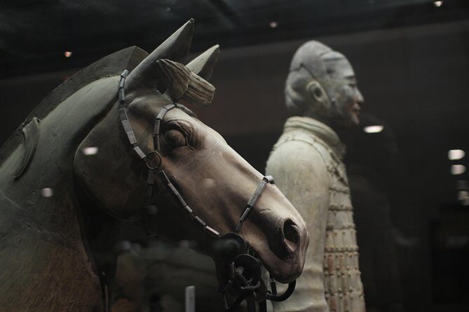 Private Tour in Terracotta Warriors Discovery - Morning Start at Xi’an’s Downtown Meeting Point