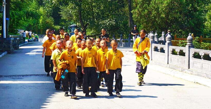 Private Tour: Longmen Grottoes, Shaolin Temple & Kungfu Show - Key things to know before you go