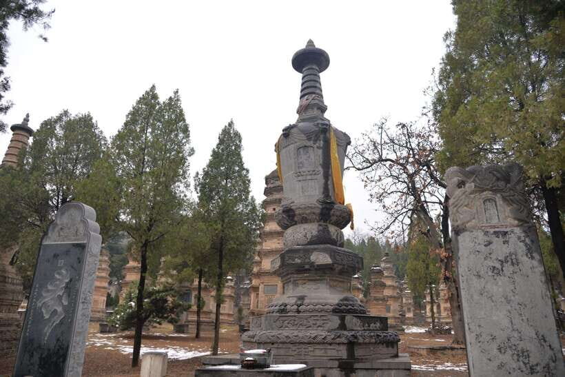Private Tour: Longmen Grottoes, Shaolin Temple & Kungfu Show - Shaolin Temple: the origin story you’ll actually remember