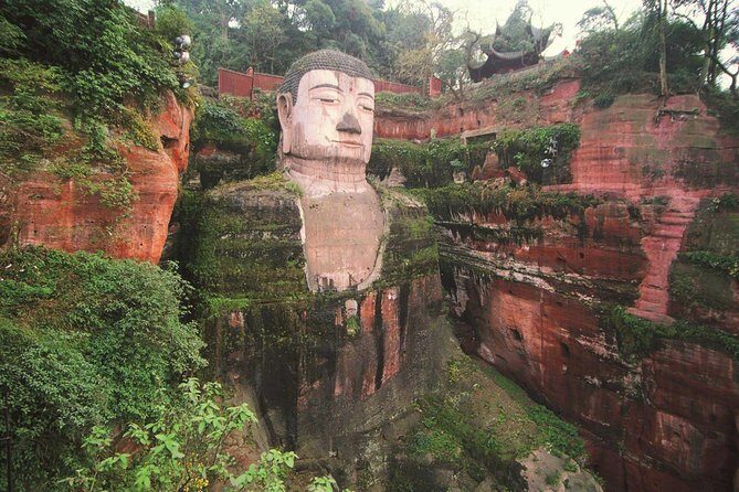 Private Tour of Chengdu Panda Center and Leshan Giant Buddha - How the 8–9 Hours Really Works (and How Not to Waste It)