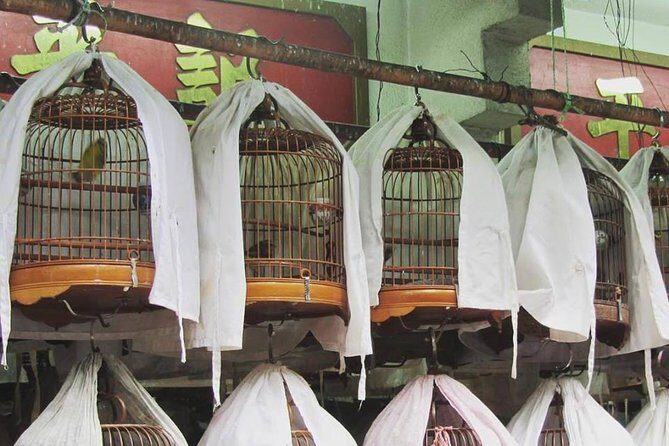 Private tour of Hong Kong - First timers - Cat Street and Chinese Astrology: A Market Stop with a Story