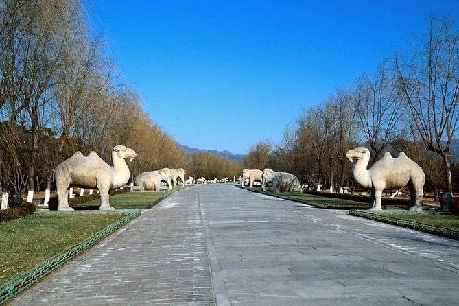 Private Tour to Mutianyu Great Wall and Ming Tombs - What to pack for steep climbs and long days