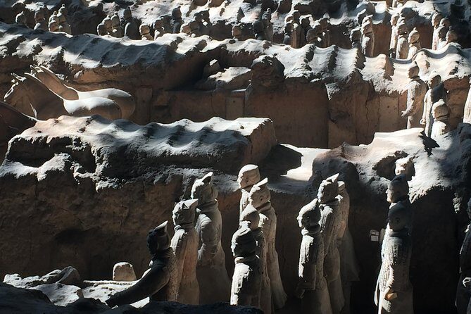 Private Tour:Terracotta Warriors,City Wall and Foodie Tour - Private guide value: communication, flexibility, and a human touch