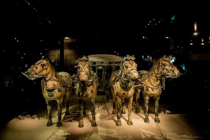 Private Xian Day Tour: Terracotta Warriors, Big Wild Goose Pagoda - Who should book this private Xi’an day tour?