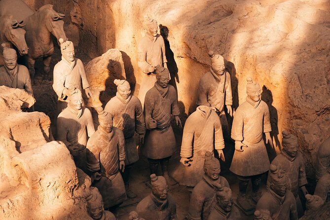 Private Xian Day Tour: Terracotta Warriors, Big Wild Goose Pagoda - Hotel pickup, air-conditioned comfort, and your guide’s pace