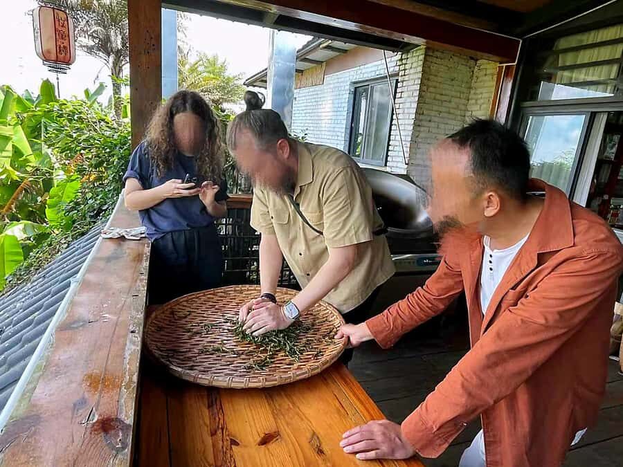 Puer Tea Picking and Tasting | 6 Hour Morning Trip - From Leaf to Pu’er: Watching Withering, Rolling, and Drying