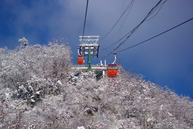 Qingdao Private Day Trip to Mutianyu Great Wall with Cable Car or Toboggan Ride - Price and value of about $308 per person